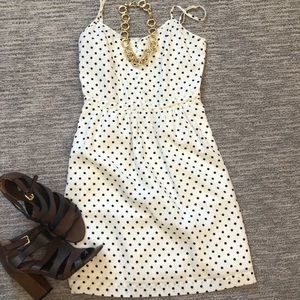 J. Crew Dress